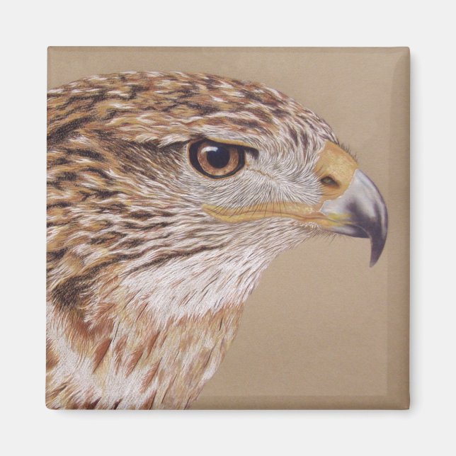 Imã Ferruginous Hawk (Frente)
