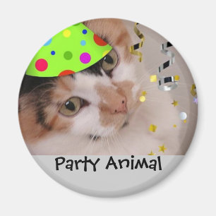 Imã Festa Animal/Calico Cat