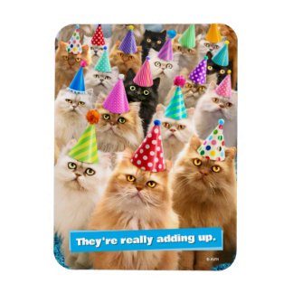 Ímã Festa de Gatos