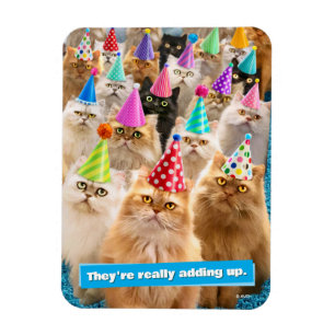 Ímã Festa de Gatos