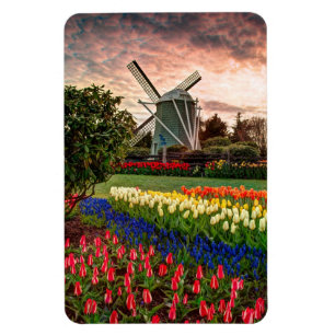 Ímã Festival da tulipa