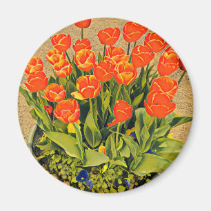 Imã Festival de flores florais moderno das tulipas