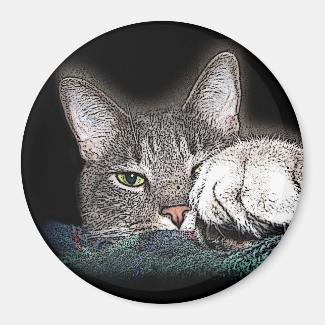 Imã Festus, o Bestus (Frente)