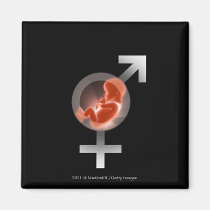 Imã Feto sobrepor sobre os símbolos masculinos e