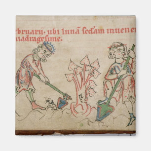 Imã Fevereiro: cavadura