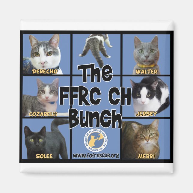 Imã FFRC CH Bunch Magnet (Frente)