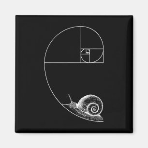 Imã Fibonacci Com Matemática De Caracol Geom Professor