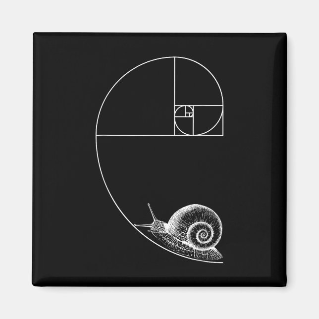 Imã Fibonacci Com Matemática De Caracol Geom Professor (Frente)