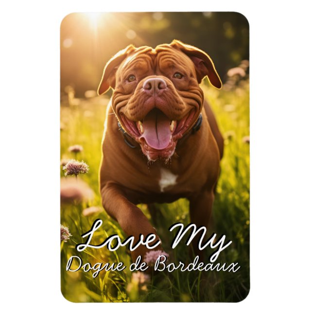 Ímã Ficheiro Personalizado de Dogue de Bordeaux (Vertical)