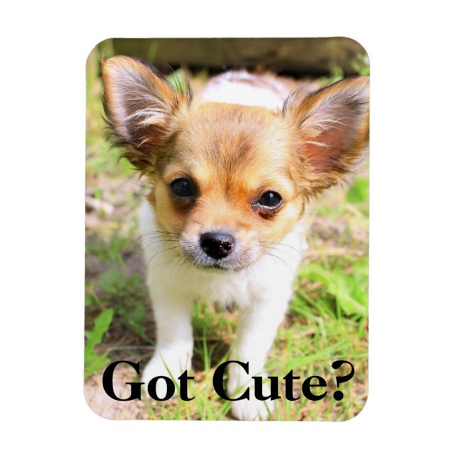 Ímã Ficou bonito? Puppy (Vertical)