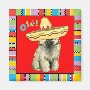 Imã Fiesta Keeshond
