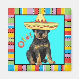Imã Fiesta Rottweiler