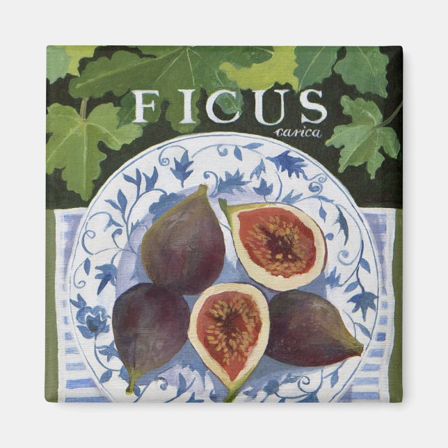 Imã Fieus (Frente)