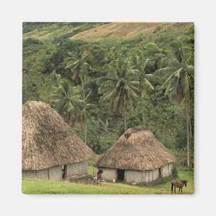 Imã Fiji, Viti Levu, Navala, casas tradicionais Bure