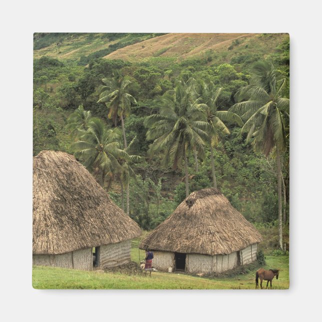 Imã Fiji, Viti Levu, Navala, casas tradicionais Bure (Frente)