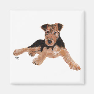 Imã Filhote de Airedale, Lakeland, Welsh Terrier