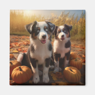 Imã Filhote de Australian Shepherd Outono Delícia Abób