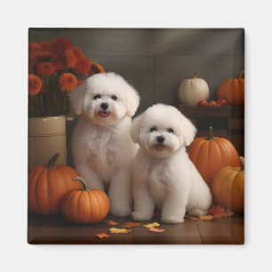 Imã Filhote de Bichon Frise Delícia de Outono Abóbora 