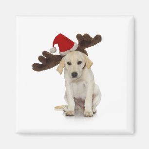Imã Filhote de cachorro com papai noel chapéu e