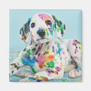 Imã Filhote de cachorro Dalmatian