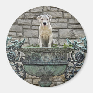 Imã Filhote de cachorro de Dogo Argentino real