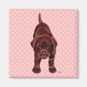 Imã Filhote de cachorro de Labrador do chocolate