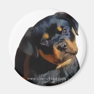 Imã Filhote de cachorro de Rottweiler