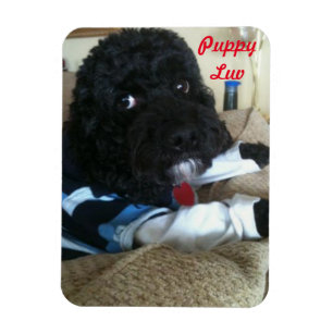 Ímã Filhote de cachorro Luv