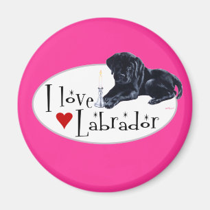 Imã Filhote de cachorro preto de Labrador