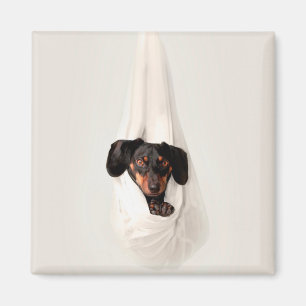 Imã Filhote de Dachshund na Rede de Baloiço Cachorro F
