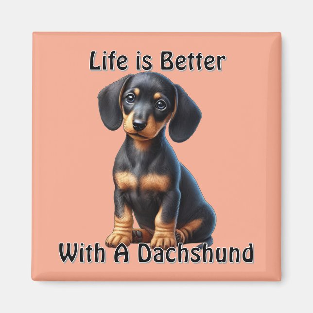 Imã Filhote de Dachshund Sentado e Olhando com Inocênc (Frente)