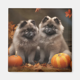 Imã Filhote de Keeshond Delícia de Outono Abóbora