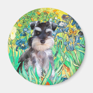 Imã Filhote de Schnauzer 10Znat - Íris