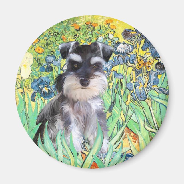 Imã Filhote de Schnauzer 10Znat - Íris (Frente)