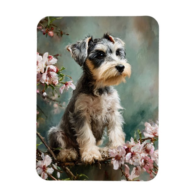 Ímã Filhote de Schnauzer Flores de Cerejeira da Primav (Vertical)