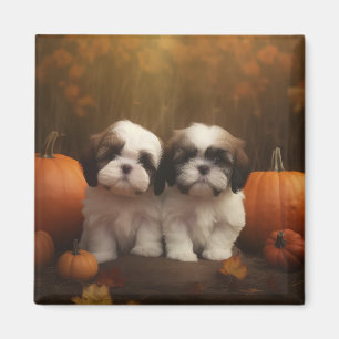 Imã Filhote de Shih Tzu Delícia de Outono Abóbora 