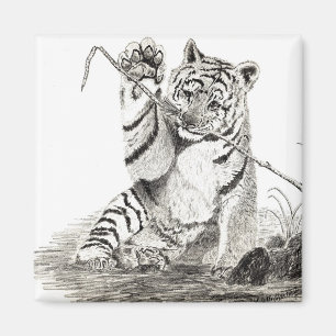 Imã Filhote de tigre que joga o ímã