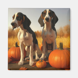 Imã Filhote de Treeing Walker Coonhound Abóbora de Out