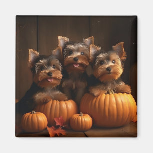 Imã Filhote de Yorkshire Terrier Delícia de Outono Abó