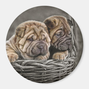 Imã Filhotes de cachorro de Shar-Pei no ímã da cesta