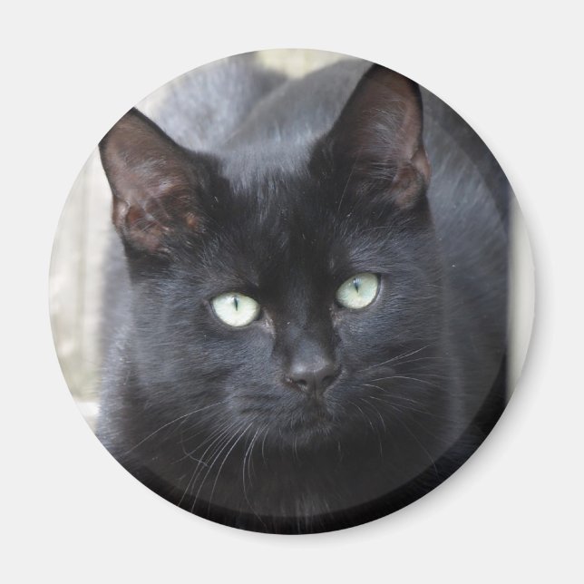 Imã Filiação de Gato Negro (Frente)