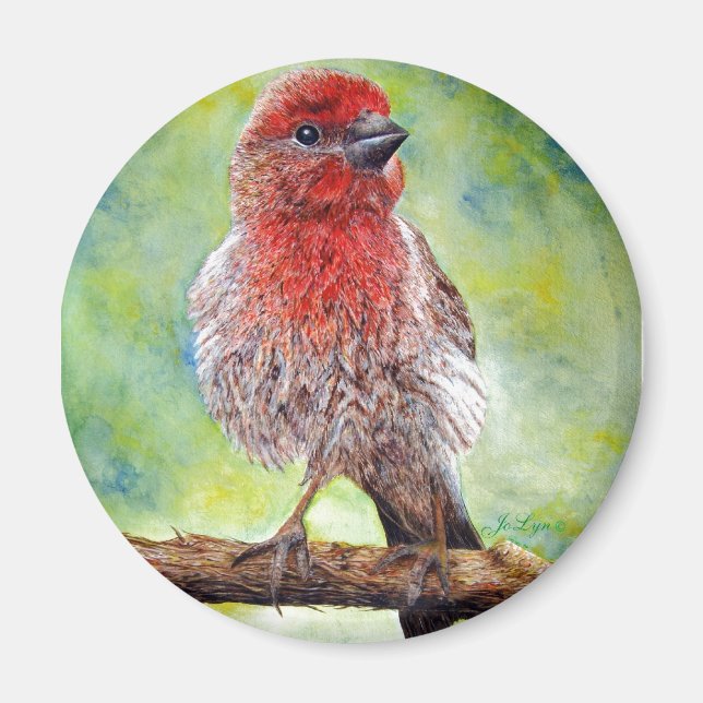 Imã Finchy (Frente)