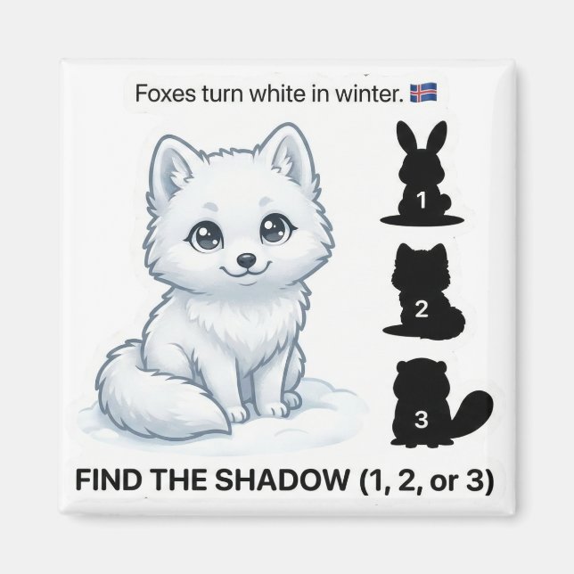 Imã Find the Shadow – Arctic Fox Learning Magnet (Frente)