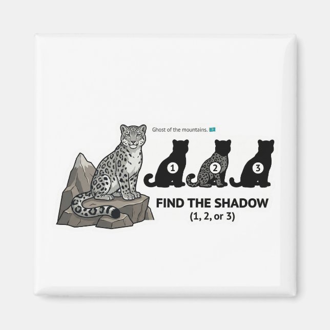 Imã Find The Shadow: Snow Leopard Kazakhstan Animal Wo (Frente)