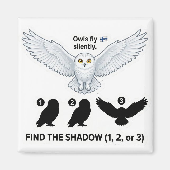 Imã Find the Shadow – Snowy Owl Learning Magnet (Frente)