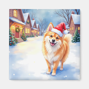 Imã Finnish Lapphund Aldeia Nevada Chapéu de Papai Noe