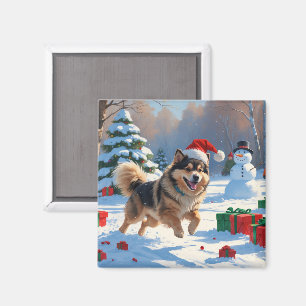 Imã Finnish Lapphund Correndo na Neve com Chapéu de Na