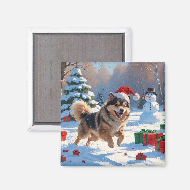 Imã Finnish Lapphund Correndo na Neve com Chapéu de Na (Front/Back)