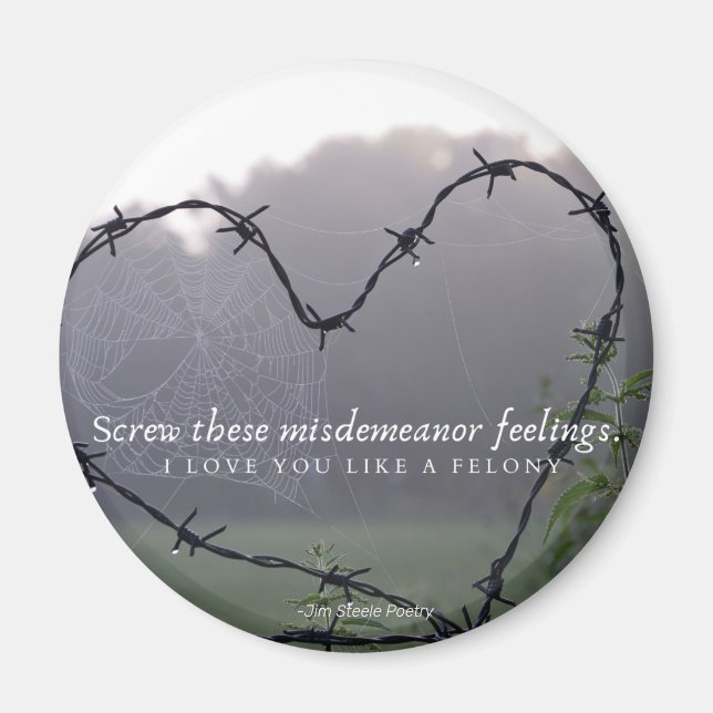 Imã Fio com arame com arame de íman (Frente)