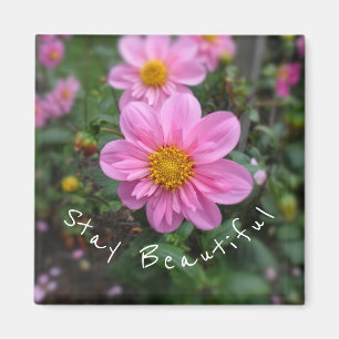 Imã Fique Bela, Rosa Dahlia